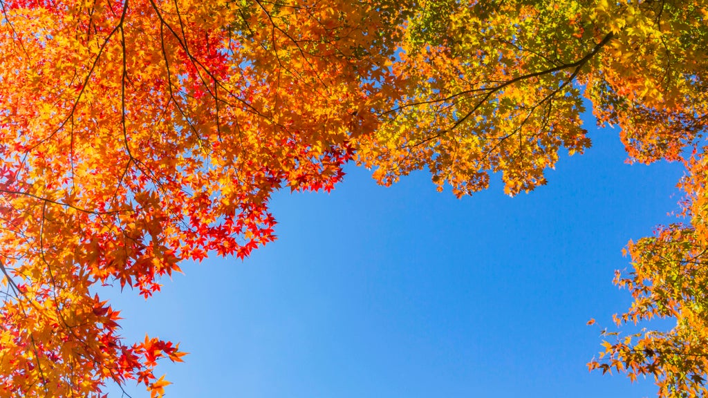 More near-record warmth Monday in Minnesota ahead of big cooldown — WCCO / CBS Minnesota, Burnsville Community news