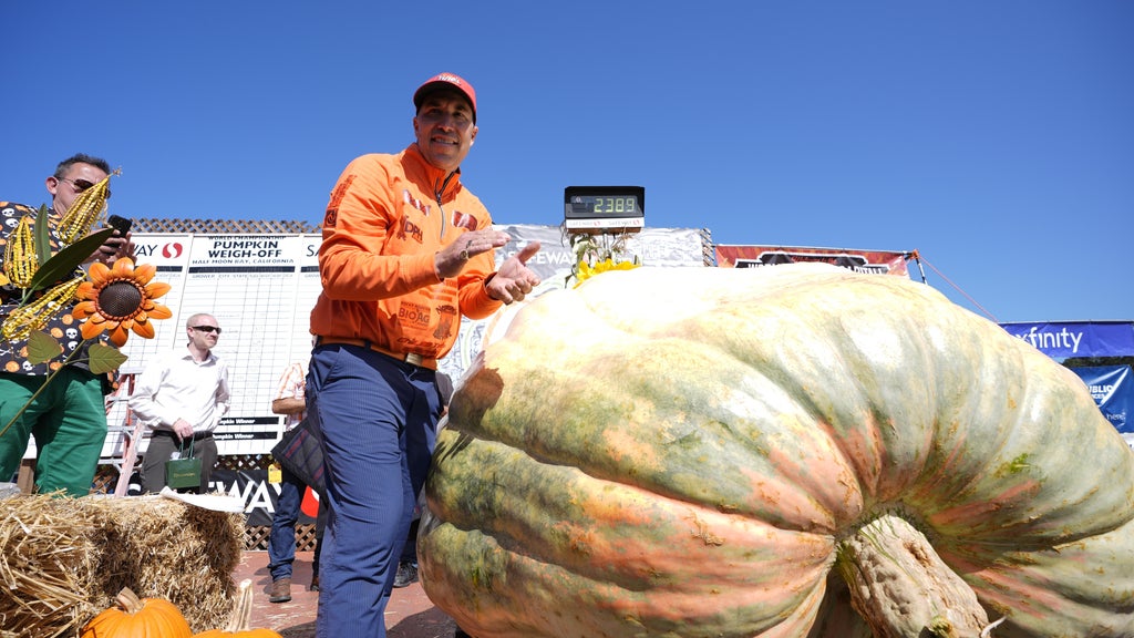 Minnesota man drives hauls giant pumpkin over 2,000 miles to California competition — WCCO / CBS Minnesota, Burnsville Community news