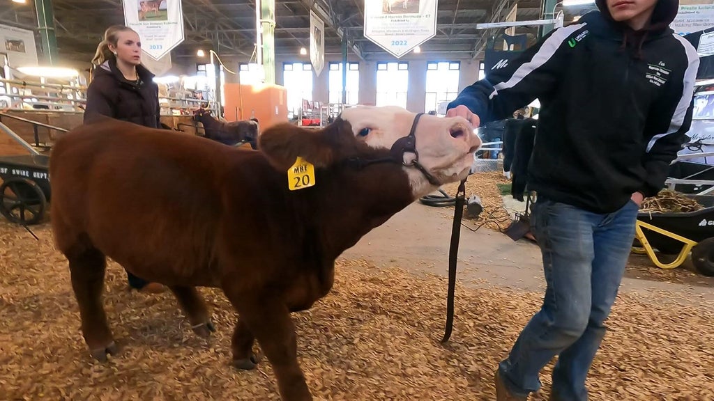 Spotlight on beef as Minnesota midterms near — WCCO / CBS Minnesota, Burnsville Community news