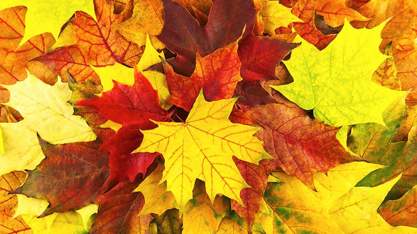 Cooler, quieter fall weather returns Tuesday in the Twin Cities — WCCO / CBS Minnesota, Burnsville Community news