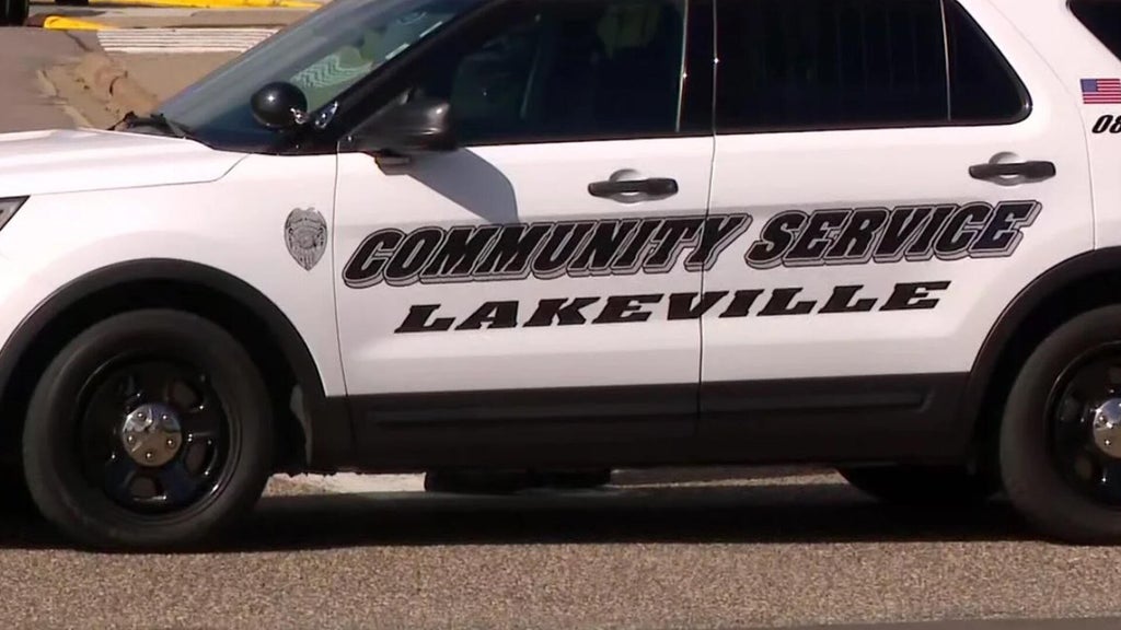 Lakeville man convicted of murdering sister, her unborn child in 2024 — WCCO / CBS Minnesota, Burnsville Community news