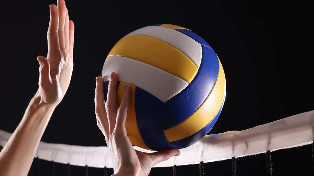 SeatGeek's first volleyball partner is the Minnesota Forge in a multiyear deal — WCCO / CBS Minnesota, Burnsville Business news