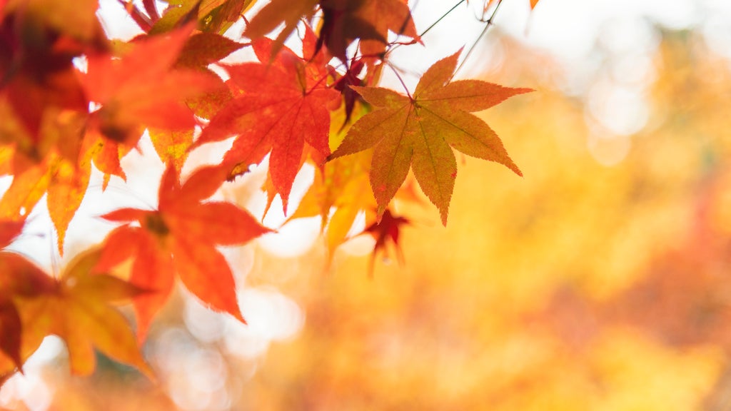 More sunny, mild late October weather in Minnesota Tuesday — WCCO / CBS Minnesota, Burnsville Business news