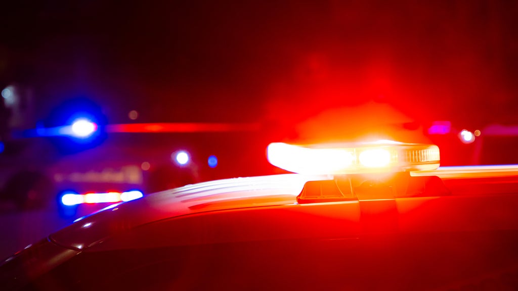 Driver killed in head-on collision with semi in central Minnesota — Burnsville Community news