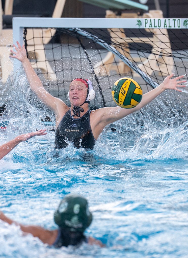 Wilcox Water Polo Caught in Vikings Rip Current — Silicon Valley Voice, Burnsville Sports news