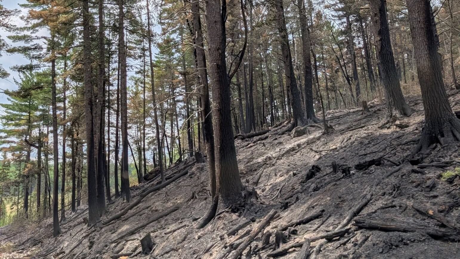 74-year-old who became separated from his family on a trail in Ely was discovered dead — KSTP 5, Burnsville Community news
