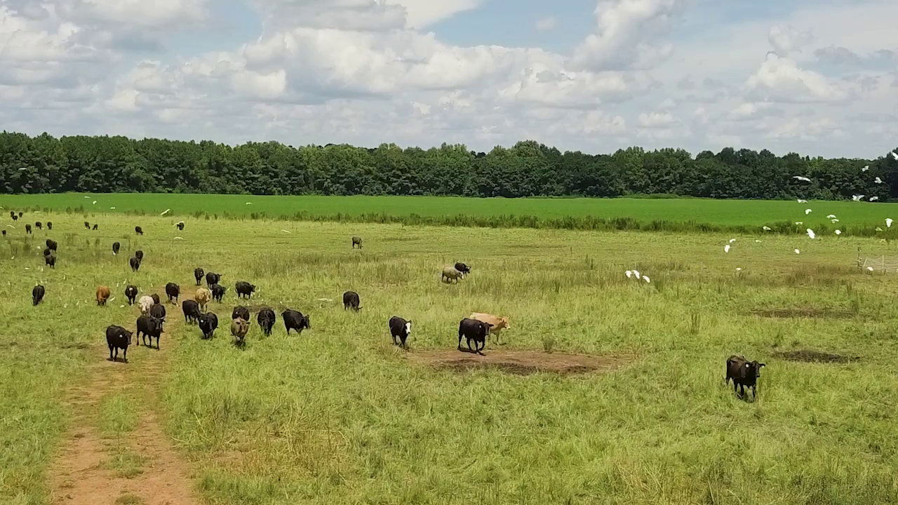 5 ON YOUR SIDE: Regenerative agriculture — Burnsville Health news