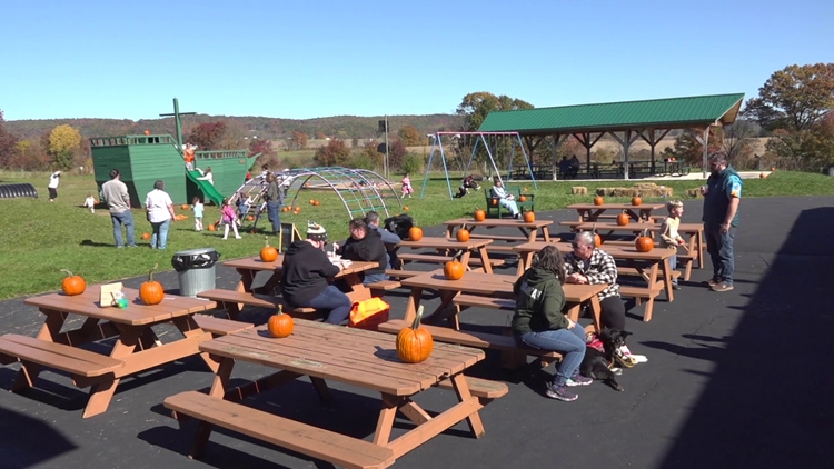 Outdoor festival in Columbia County brings together artists and businesses to connect with the community — WNEP 16 (Scranton/Wilkes-Barre), Burnsville Arts news
