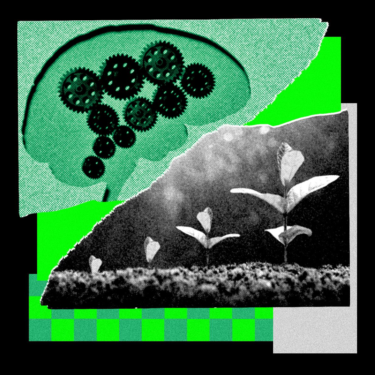 This Startup Is All In on Recursive Self-Improvement. Its Latest Model Is Scary Good — Wired, Burnsville Technology news