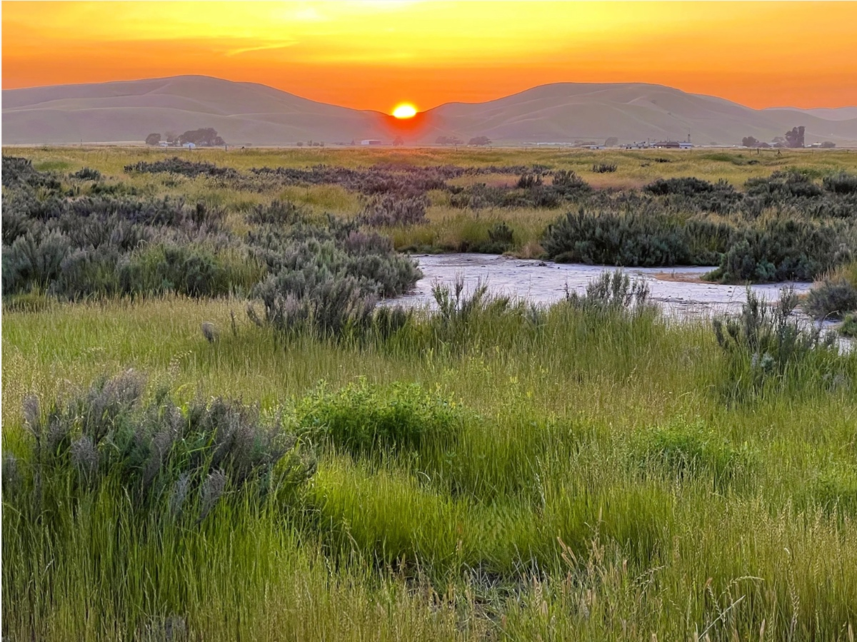 331 Acres Of Tri-Valley Wildlife Habitat, Open Space Permanently Protected — Danville Patch
