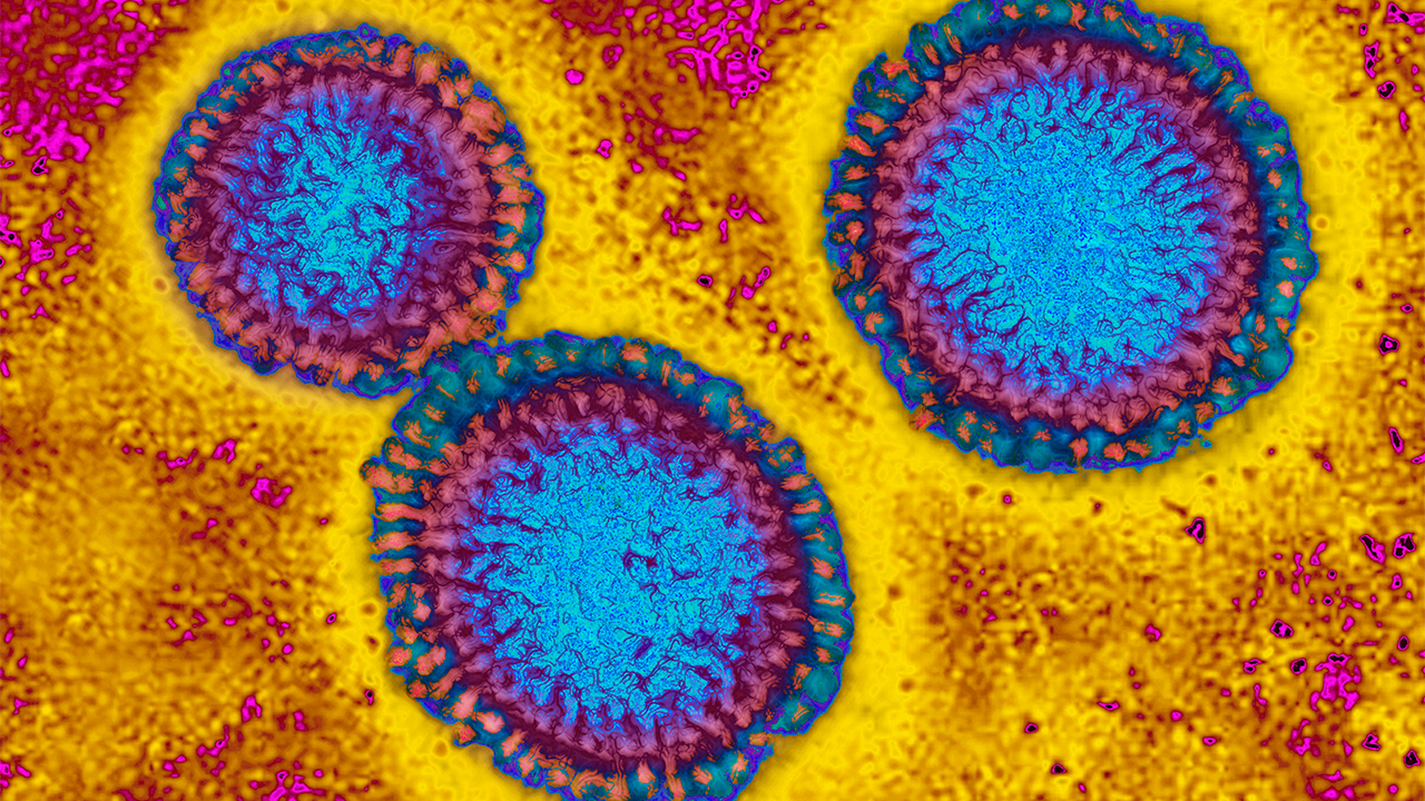 Flu hospitalizations 'slightly higher' than usual, officials urge vaccinations — FOX 9, Burnsville Health news