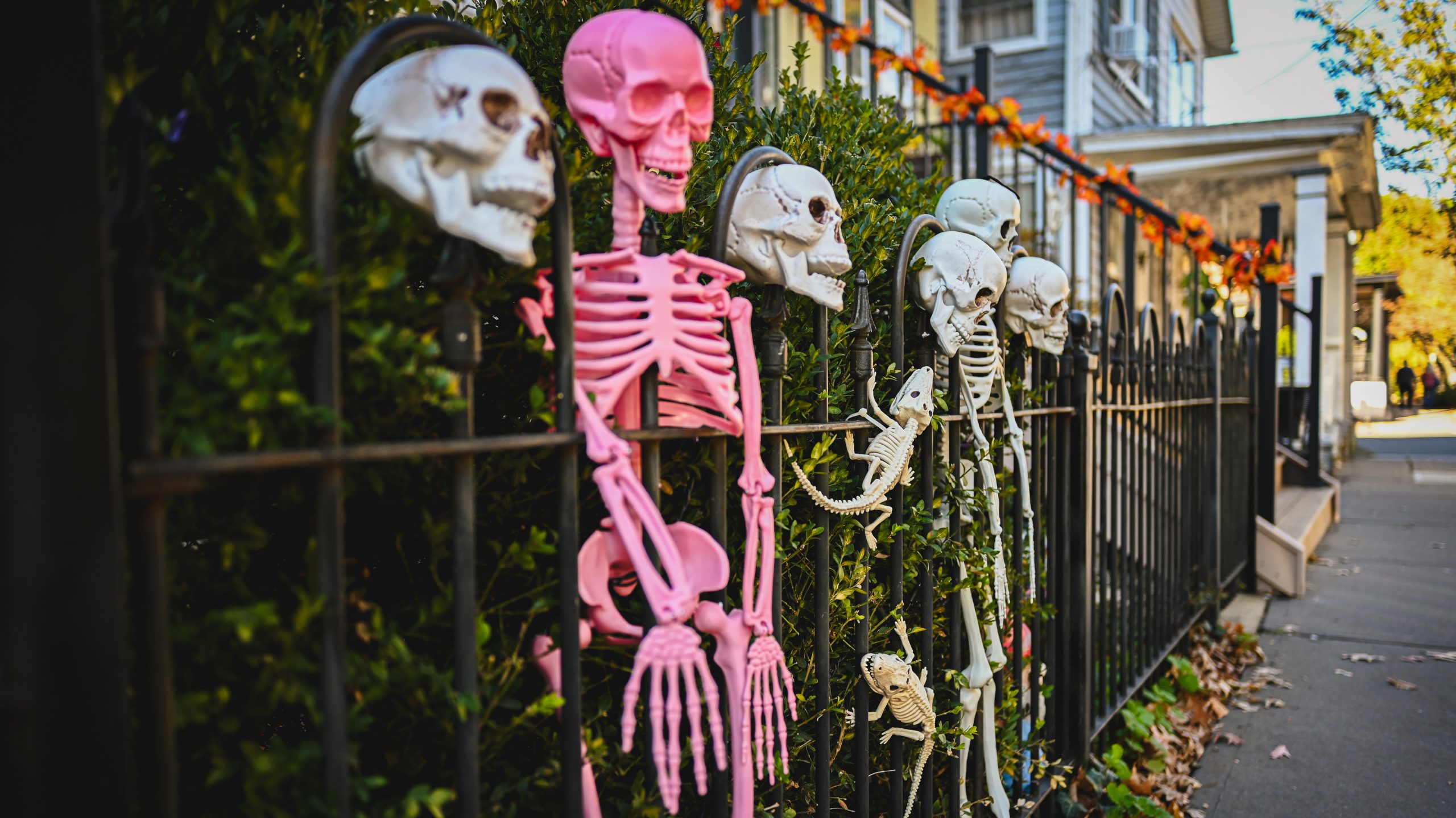 America's best cities for Halloween, ranked — FOX 9