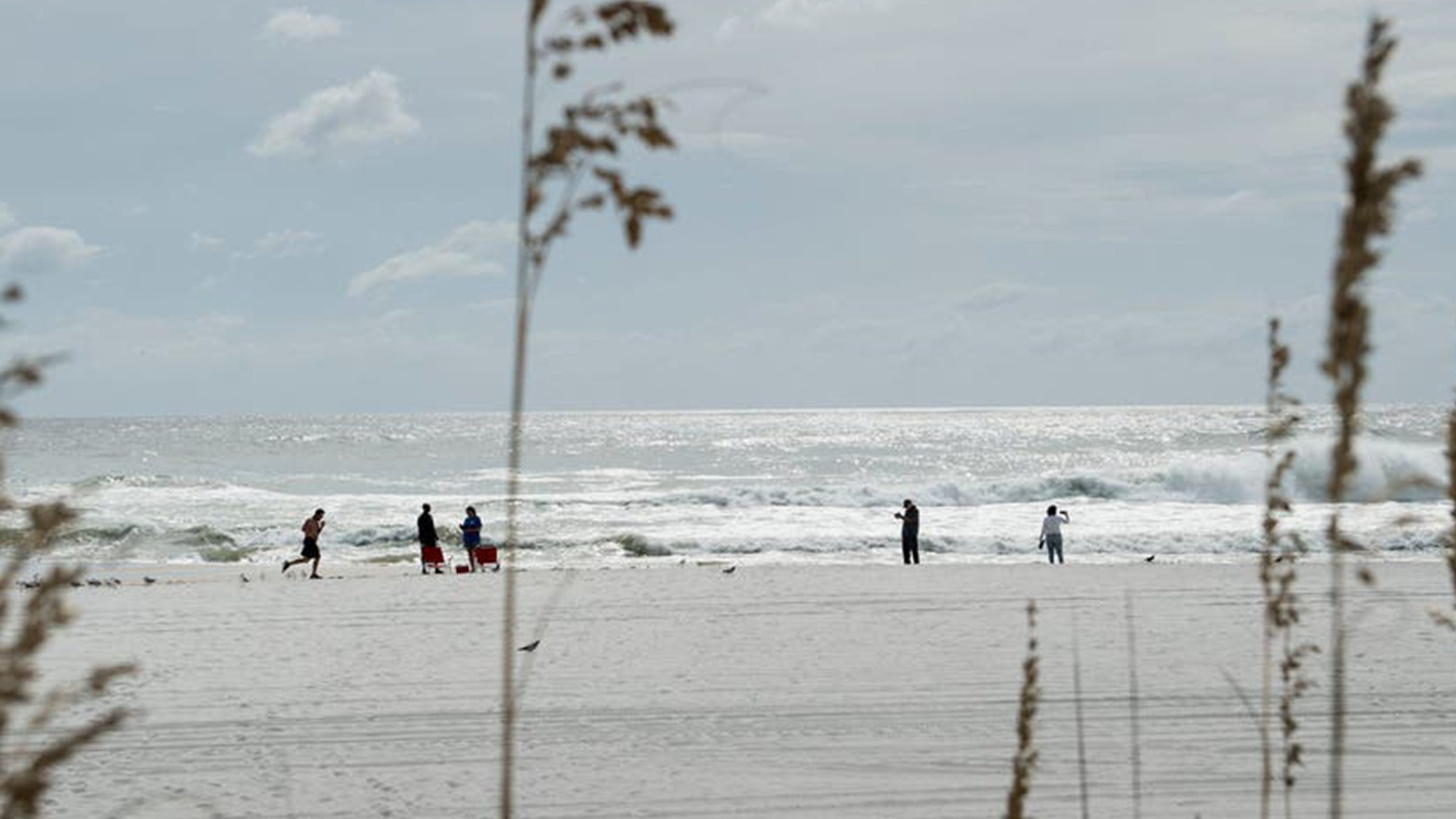 Father of 2 drowns after being caught in current trying to rescue seagull caught in fishing line — Burnsville Community news